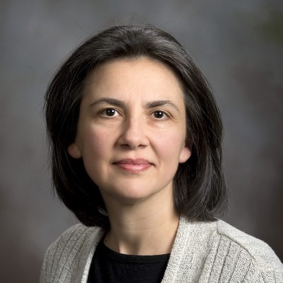 Daniela Cimini, Ph.D.