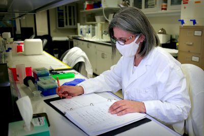 Researcher Daniela Cimini sits at a desk within a narrow laboratory space, examining and writing in a binder full of notes about centrosome activity in cells with a doubled genome. Cimini wears a white lab coat, a white mask, and multi-colored glasses while holding an orange pen. She is surrounded by test tubes, a box of tissues, a filing cabinet, storage drawers, and other plastic research tools and containers.