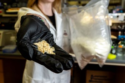 Freeze-dried milk-derived exosomes